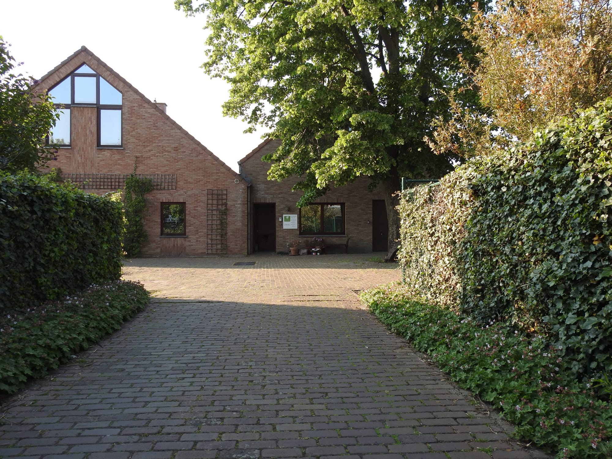Het vrijstaande bakstenen praktijkpand van CEL met klimplanten in Kessel-Lo